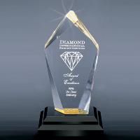 Acrylic - Award Of Excellence - WBZ-L