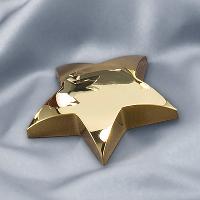 Gold Brass Star - FMS5