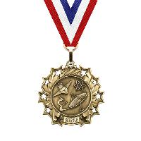 medal-ten star series-science