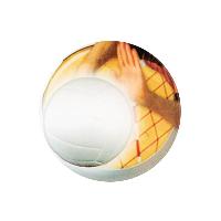 Mylar - Epoxy Volleyball - #DM722 (DTC)