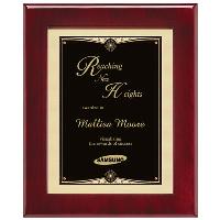 Plaque - Airflyte Premium Series III - P4485