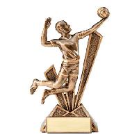 resin-checkmate series-volleyball male