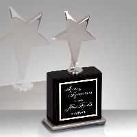 Star - Silver Metal Star Award - EX031, EX032