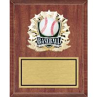 plaque-all star mount medallion